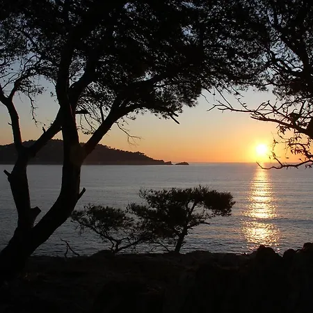 Hotel Du Cap Negre Le Lavandou