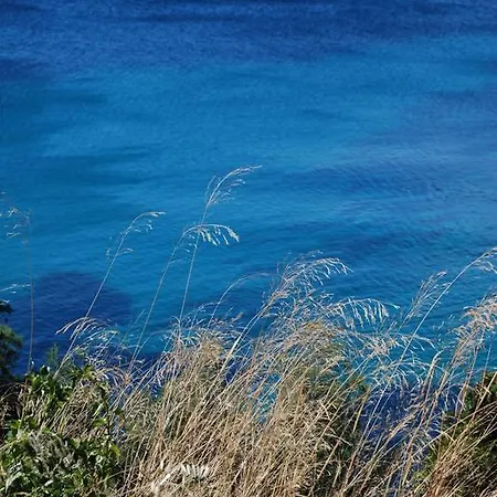 Du Cap Negre Le Lavandou